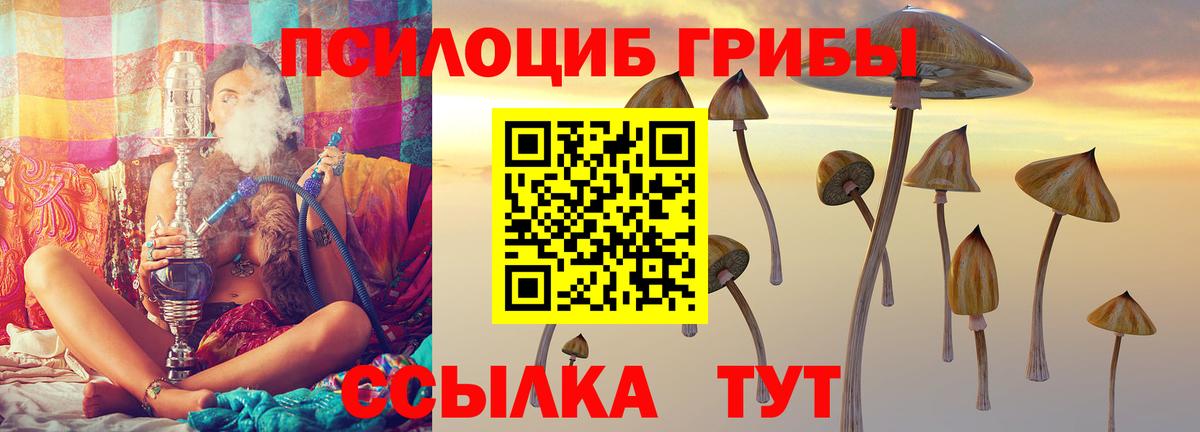 Кореновск  Псилоцибиновые грибы GOLDEN TEACHER  Вход с VPN  Псилоцибиновые грибы мухоморы 
